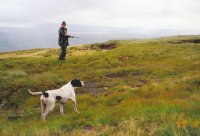 Hunting in Scotland Hills