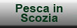 Pesca in Scozia