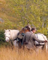 Stalking in Scotland