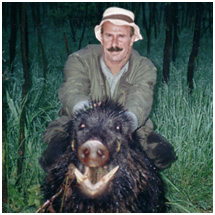 cinghiale