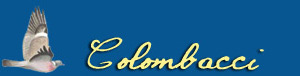colombacci